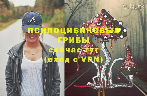 мескалин Абаза