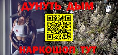ECSTASY Обь