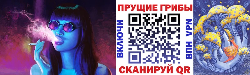 Псилоцибиновые грибы Cubensis Благовещенск