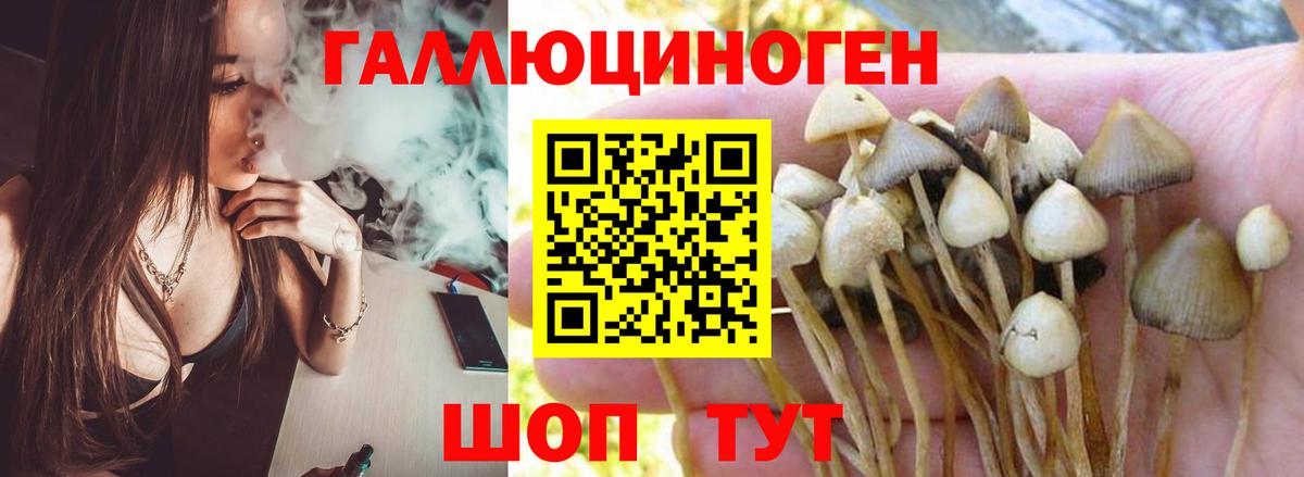 Псилоцибиновые грибы прущие грибы Благовещенск